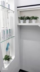 -KS科逆美肤祛痘