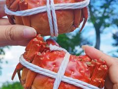 -品鲜村农家菜·阳澄湖大闸蟹(总店)