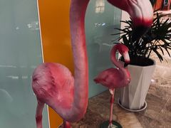 -济南喜来登酒店