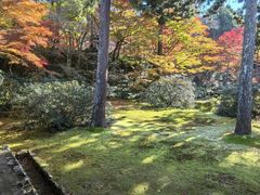 -三千院