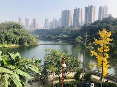 -重庆彩云湖湿地公园