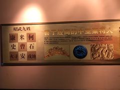 -宁夏博物馆