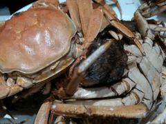 -蓝钻·国际美食海鲜自助百汇(西直门店)