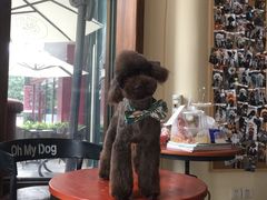 -Oh My Dog宠物沙龙(伊珊娜皮毛护理店)