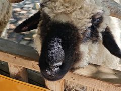 -水上乐园·欢乐世界