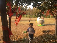 -古柏渡飞黄旅游区