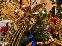 -深圳湾万象城(南山店)