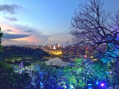 -飞凤山奥体公园