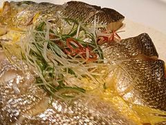 清蒸黄鱼-宝轩渔府·老字号海鲜·正宗津菜(水上店)