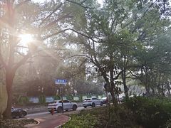 -潜山国家森林公园