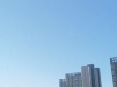 -魏家凉皮(来广营店)