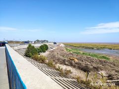 -南汇嘴观海公园