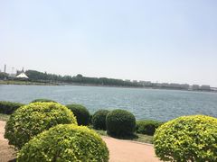 -丁香湖公园