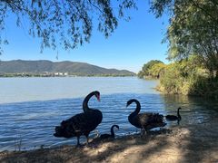 -长兴太湖图影湿地文化园