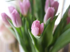 -盒马鲜生(馥邦国际店)