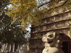 -北京石刻艺术博物馆(五塔寺)