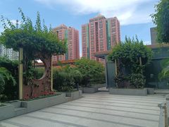 -御彩酒家(东风东路店)