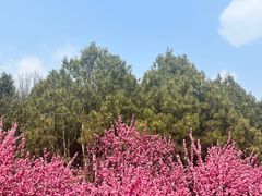 -北京奥林匹克公园