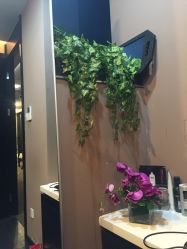 -史云逊养发中心