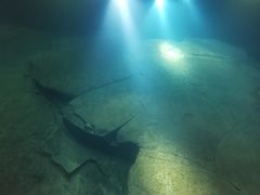 -白鹤梁水下博物馆