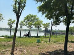 -天津东丽湖风景区