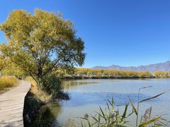 -野鸭湖国家湿地公园