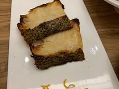 鳕鱼-一本钓鲔鱼屋