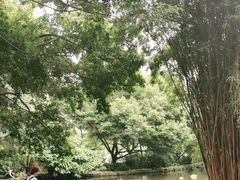 -成都市活水公园