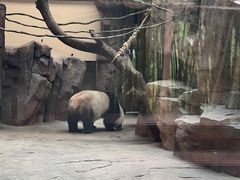 -宁波野生动物园