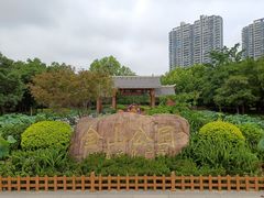 -金山公园