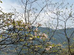 -舒家湾天主教堂