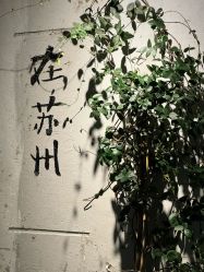 -苏衣阁汉服体验馆(狮林里店)