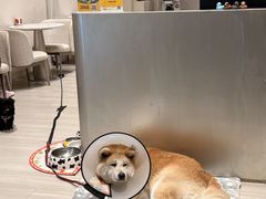 -YCHL Studios健身工作室(市二宫店)