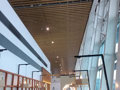 -厦门高崎国际机场-T3航站楼