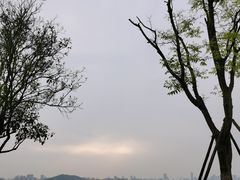 -东湖磨山景区
