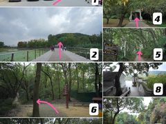 -苏州上方山国家森林公园