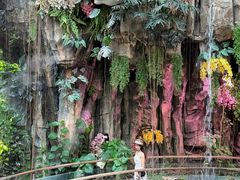 -正佳雨林生态植物园
