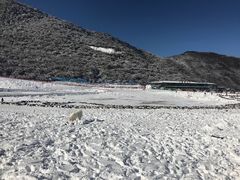-太子岭滑雪场