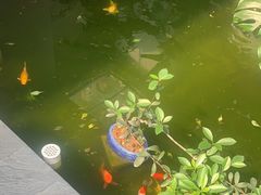 -漫笙舍Manse·咖啡·民宿