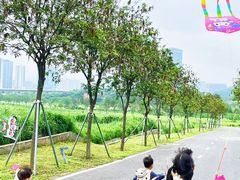 -光明小镇欢乐田园