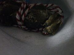 -丫丫蟹庄·苏式园林农家乐·阳澄湖大闸蟹(阳澄湖莲花岛店)