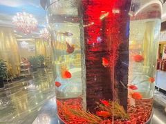 -喜盈门.鱼鲜家味(金马店)