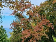 -广州市石门国家森林公园