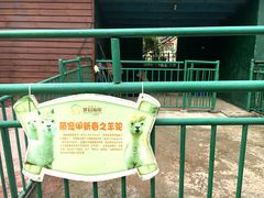 -巨鹏飞梦幻海岸