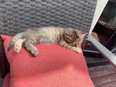 -EATALIA意塔利意式餐厅(鼓楼店)