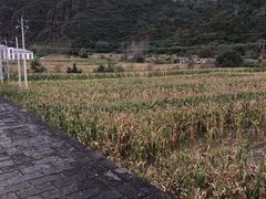 -遥桥古堡