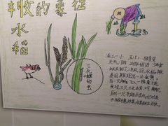 -上海昆虫博物馆