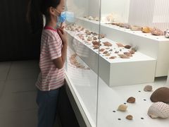 -青岛贝壳博物馆