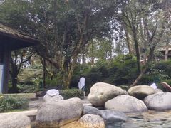 -青城道汤池