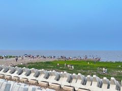 -南汇嘴观海公园